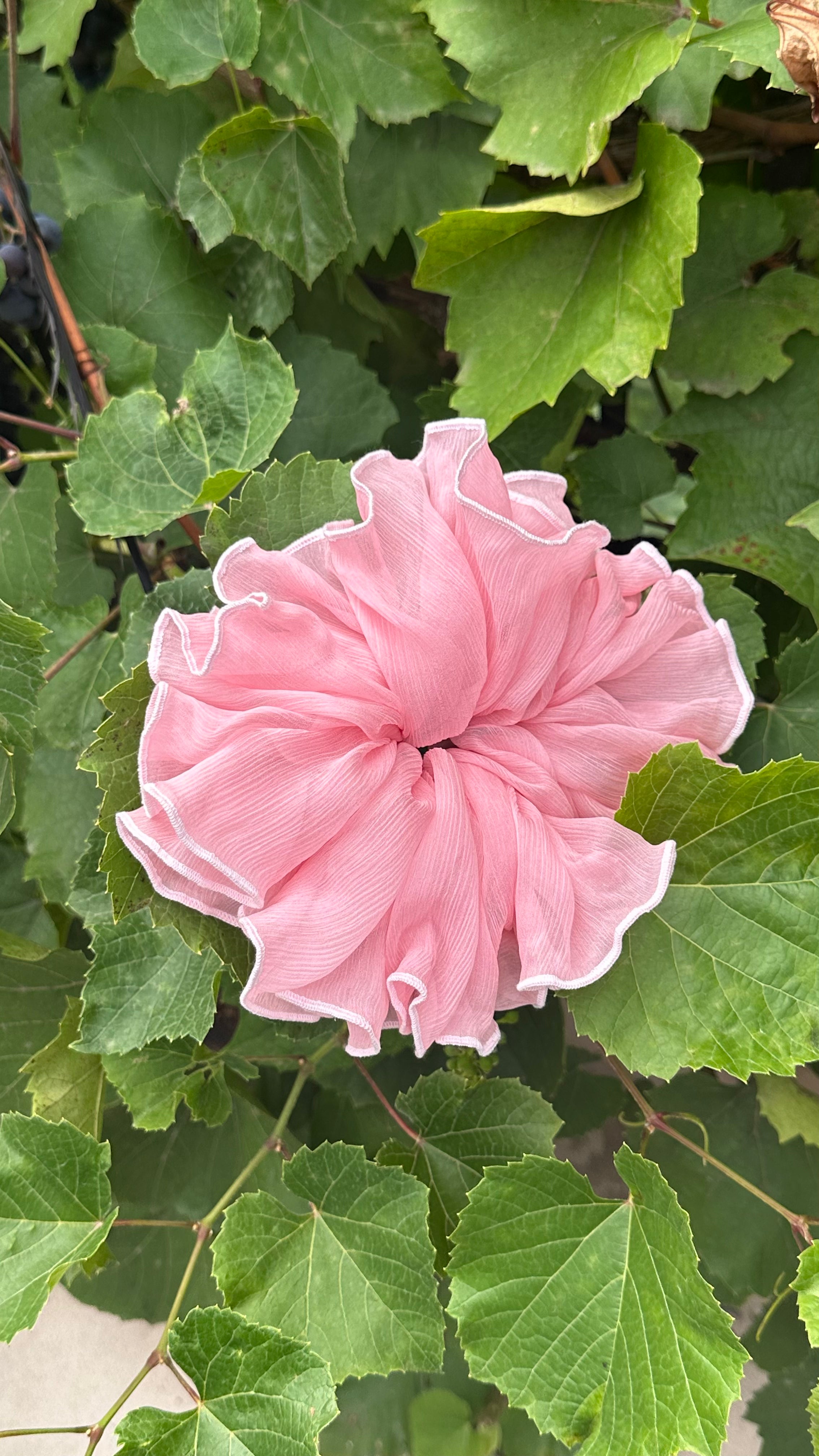 DALIA jedwabna